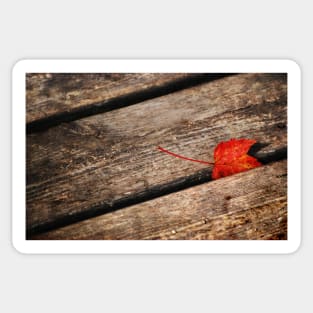 Red Leaf & Wood Planks Sticker